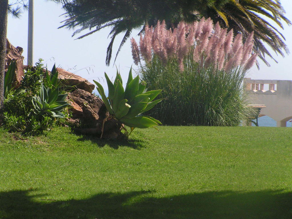 Iberlagos Luaran gambar